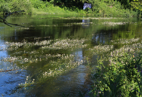 Faster Rivers and Streams